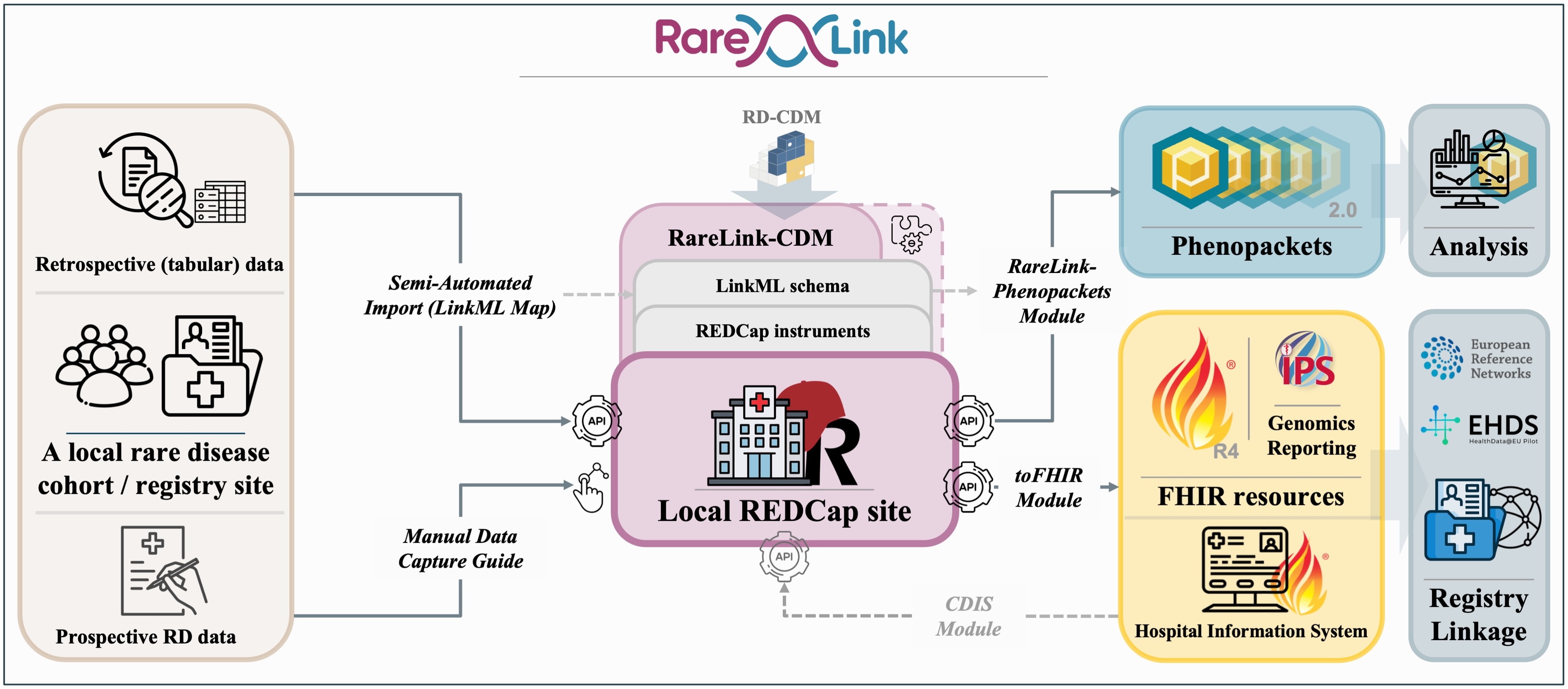 _images/rarelink_overview.png